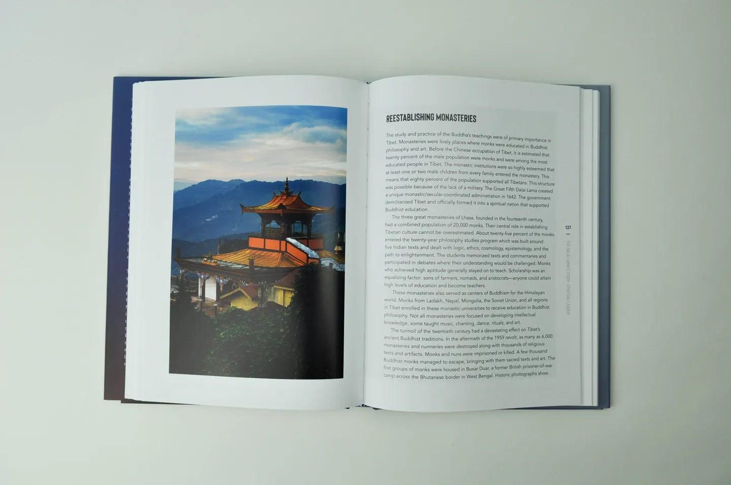 The Dalai Lama, photograph 7 of the printed book